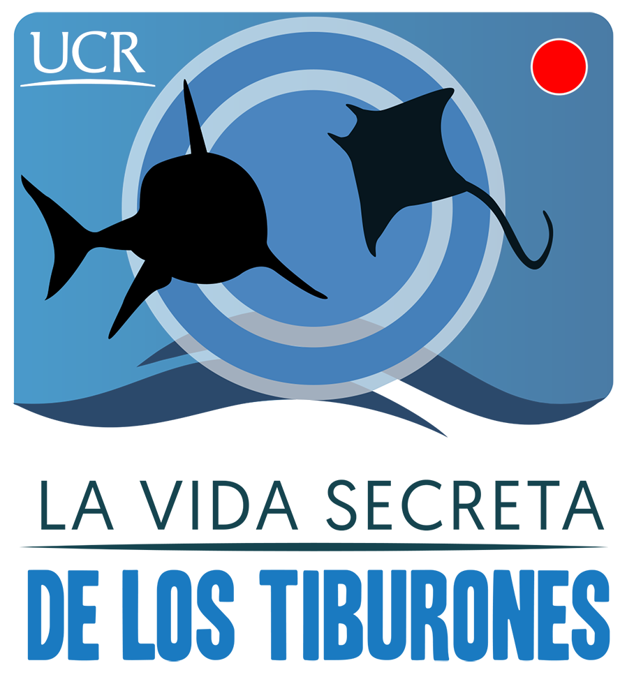 UCR Secret Life of Sharks
